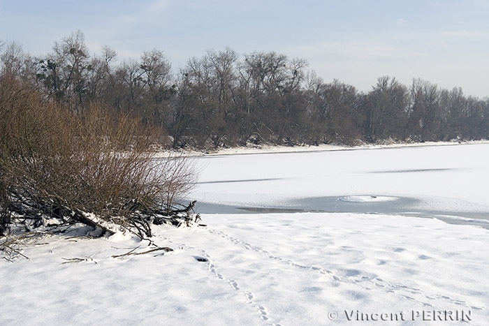 Lac gele.jpg